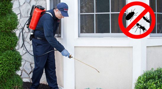 Atabey Dezenfeksiyon böcek ilaçlama ve haşere kontrolü — ilaclama-tr.com
